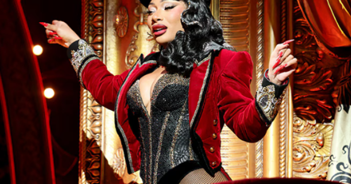 Megan Thee Stallion Hospitalized After Falling Ill During Broadway Performance