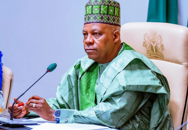 Vice President, Kashim Shettima