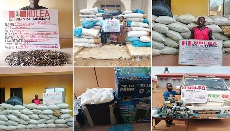 A photo collage displaying suspects arrested by the NDLEA in Kaduna, Niger, and Enugu states, alongside seized evidence including piles of cannabis bags, packets of ammunition, and confiscated pharmaceuticals (Tramadol).