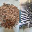 DSS arrests 5 suspects over Papiri school kidnapping, recovers 15 AK-47s and more