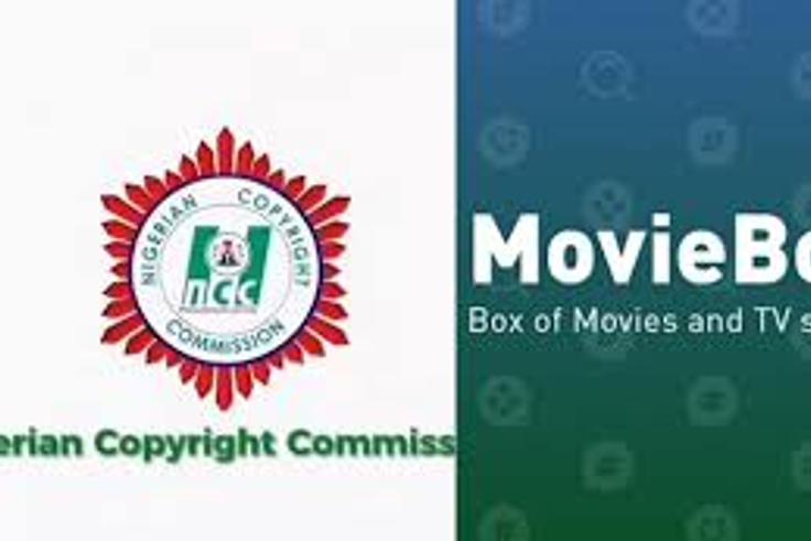 NCC Targets Online Piracy: Illegal site taken down over copyright infringement