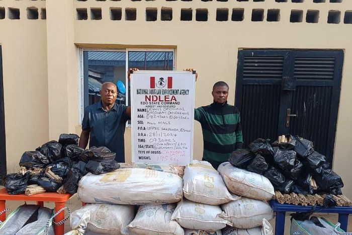 NDLEA intercepts 3.1m pills of opioids in Kano