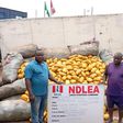 NDLEA intercepts 2,000kg cannabis coming from Ghana at Lagos beach