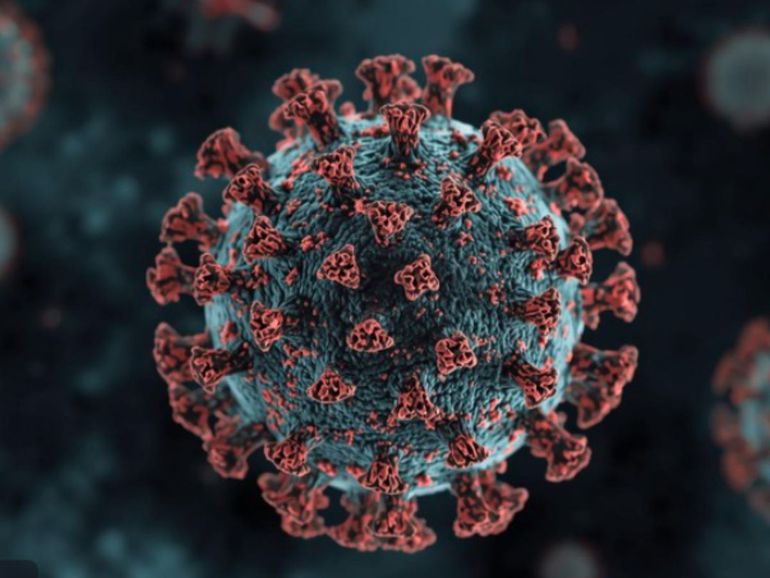 new-covid-variant-cicada-detected-what-we-know-so-far