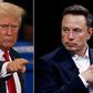 Musk would have to return To South Africa - Trump 'hints' at deporting 'bestie' billionaire