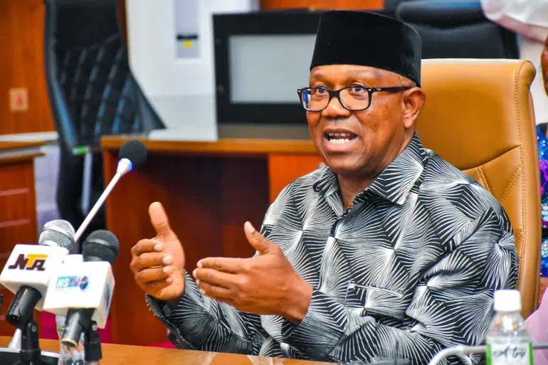 Peter Obi says the North will celebrate him if he becomes president in 2027.
