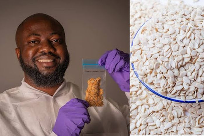 Egusi goes to space as Nigerian melon seeds join global research mission