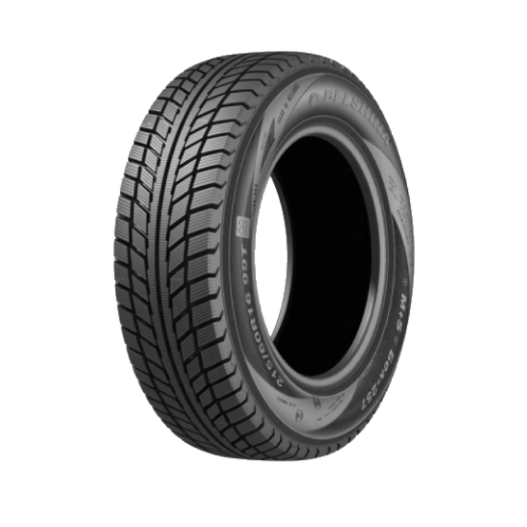 Michelin Energy XM2+