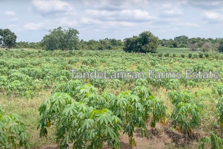 How Tundelaniran Farms Is Helping Nigerians Do Farming Without Ever Going to the Farm