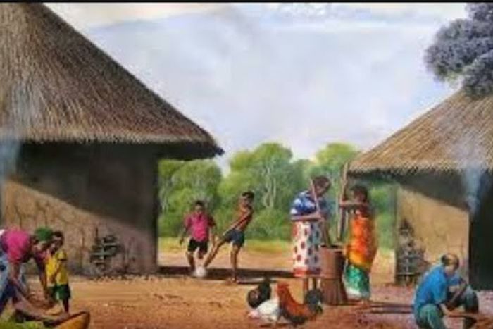 Village Life Diaries: What a week without internet taught me