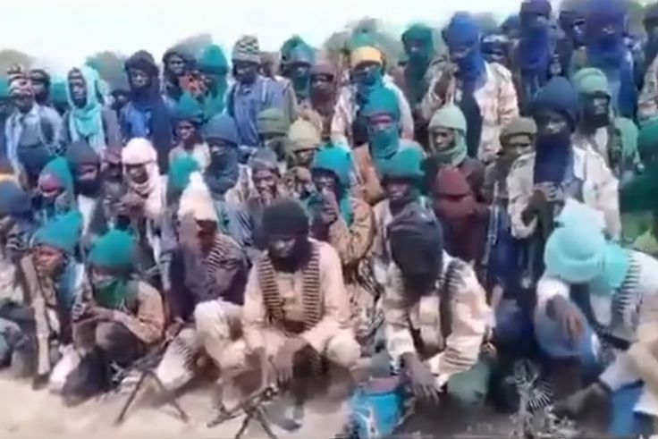 Lakurawa bandits invade Kebbi village, kill 2 police officers, rustle cows