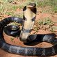 Signs There May Be a Snake in Your Compound (And What to Do Before It’s Too Late)
