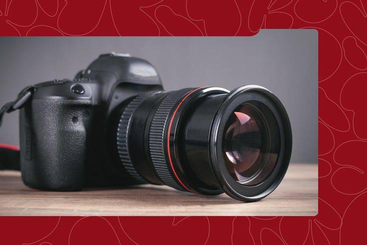 We Asked 8 Photographers About the Cameras They Swear By—Here’s What They Said