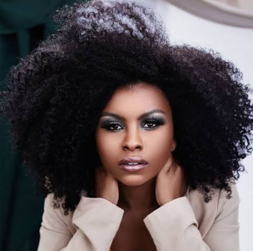 Natural Hair Chronicles: Surviving the Afro journey in Lagos heat