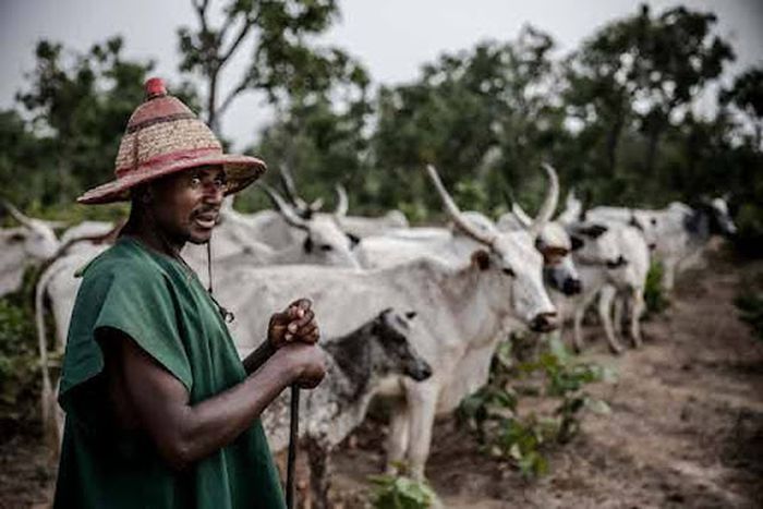 Tension in Abia as monarch raises alarm over land acquisitions by suspected herdsmen