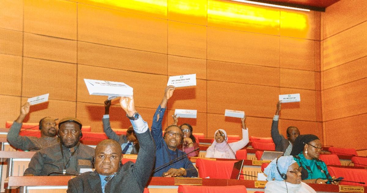 ECOWAS Parliament in Deadlock Over Guinea-Bissau Coup Response
