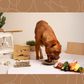 10 Human Foods That Aren't Good For Your Dogs