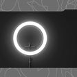 Ring Lights That’ll Make Your Selfies & Videos Instantly Better
