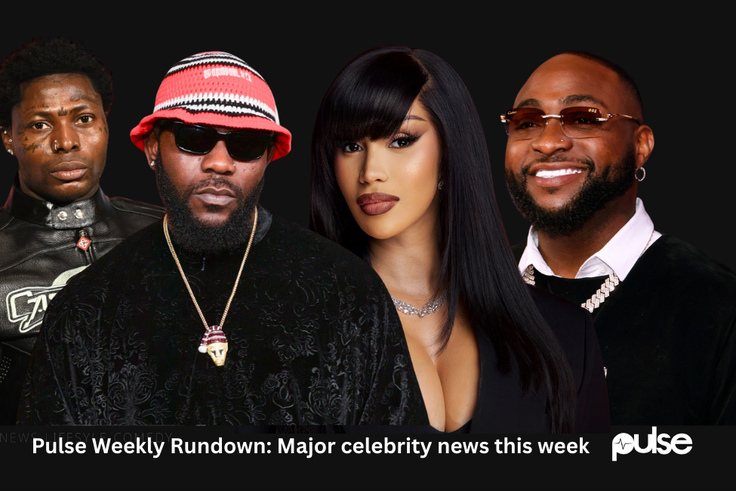 Pulse Weekly Rundown: Davido vs Wizkid feud intensifies, other major celebrity news this week