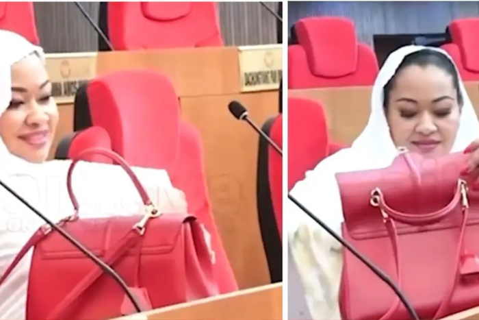 Natasha is just catching cruise - Senate spox downplays accusation against Akpabio