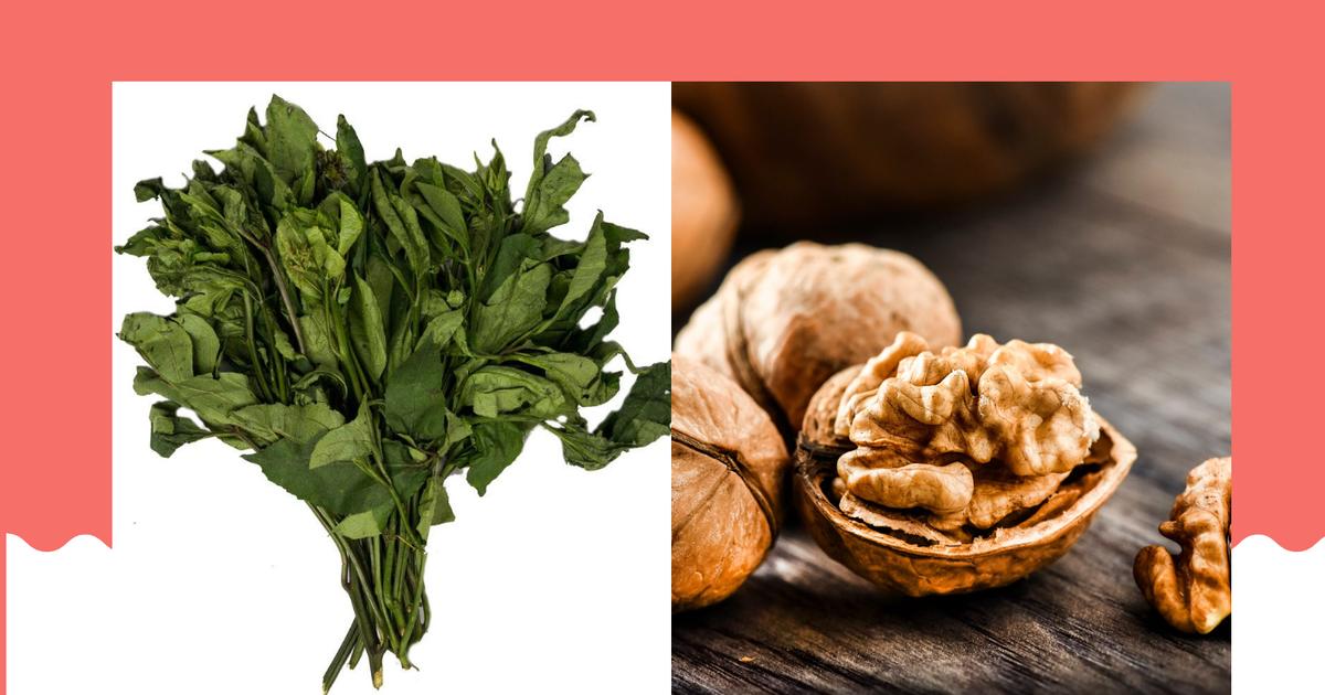 11 Nigerian Foods That Naturally Sharpen Your Brain and Memory