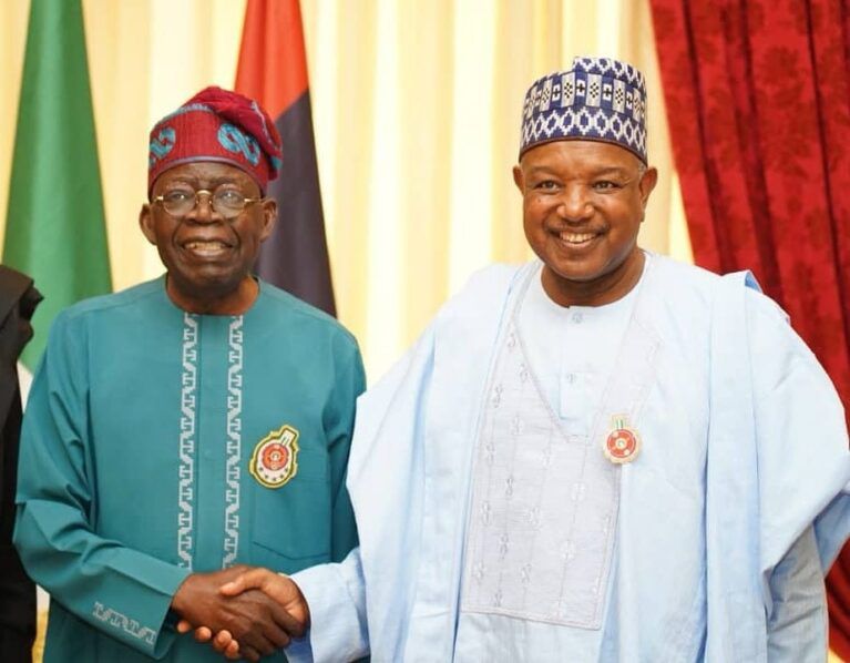 You made the right call - Tinubu praised for making Bagudu coordinating minister