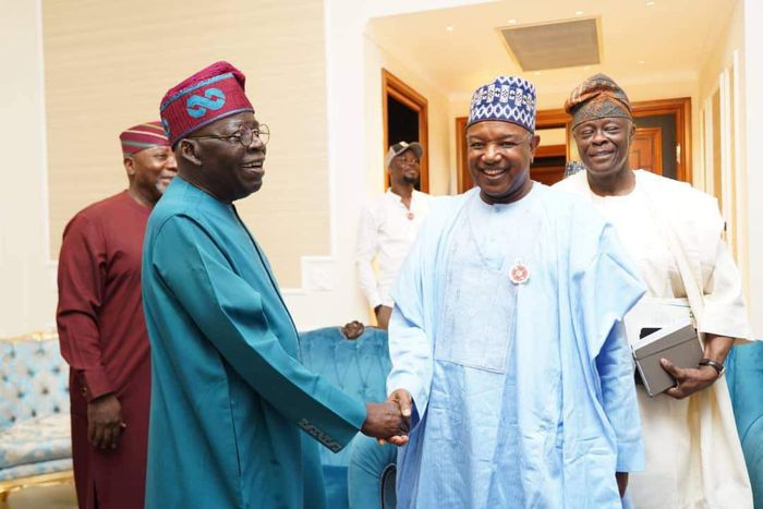 You made the right call - Tinubu praised for making Bagudu coordinating minister