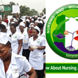 Thousands of Nigerian nurses can’t work or “japa” because NMCN has refused to release their certificates
