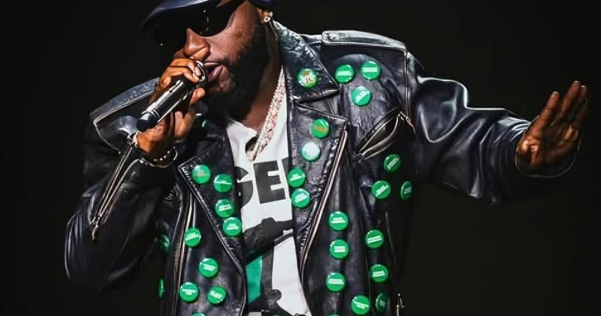 Davido: No Image to Protect if School Kids Are Kidnapped