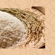 5 Ways to Spot Fake or Low-Quality Rice in Markets