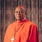 'Many Nigerian youths can’t even think of marriage because they are jobless' — Cardinal Onaiyekan