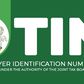 How to Get Your Tax Identification Number (TIN) Online in Nigeria: Complete Step-by-Step Guide [2025]