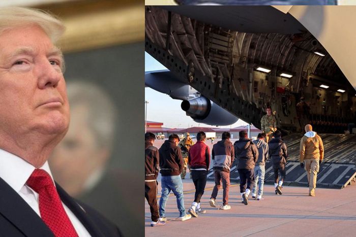 Nigerians now hide, avoid quarrels to evade Trump's deportation - US-based Prof