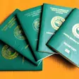 NIS shares step-by-step guide for contactless passport renewal for Nigerians abroad