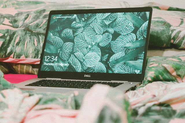 Is the Internet Less Fun? AI, Commerce, and SEO Culture Is Killing the Magic