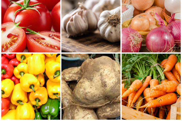 12 vegetables you should eat everyday