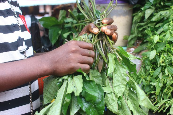 How to preserve fresh ugwu leaves for months, no freezer needed