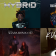 8 Nigerian music projects you may have missed in the last three months (Feb - April, 2026)