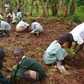 Plant a tree, win ₦2.5m: Lagos launches campaign as residents battle rising temperatures