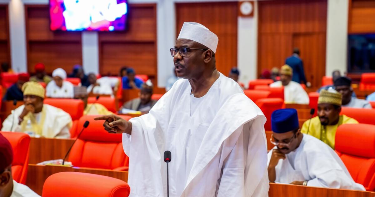 'Let Americans take over Mandara Mountains': Ndume