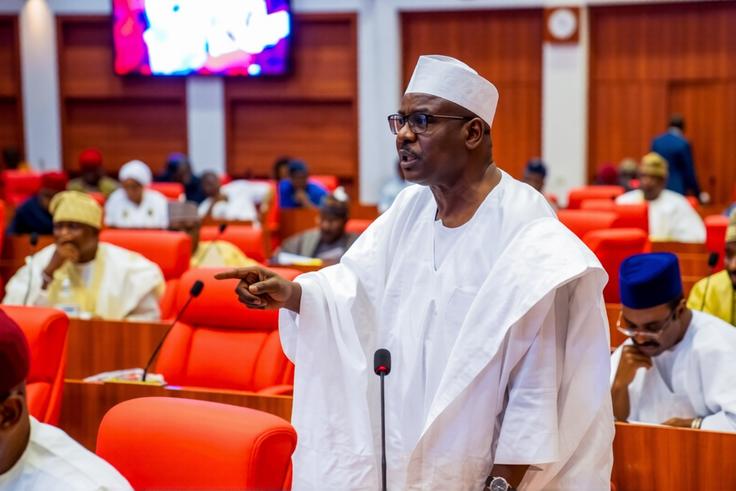 'Let Americans take over Mandara Mountains': Ndume calls for US military base in Borno to fight Boko Haram