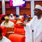 'Let Americans take over Mandara Mountains': Ndume calls for US military base in Borno to fight Boko Haram