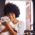 International Cat Day: 50 cute Nigerian names for your cat and what each one means