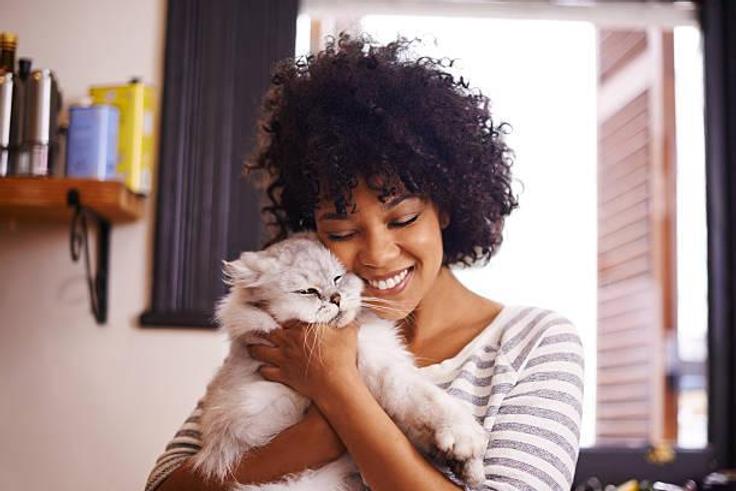International Cat Day: 50 cute Nigerian names for your cat and what each one means