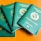 No more embassy visits as Nigerians abroad get contactless passport renewal