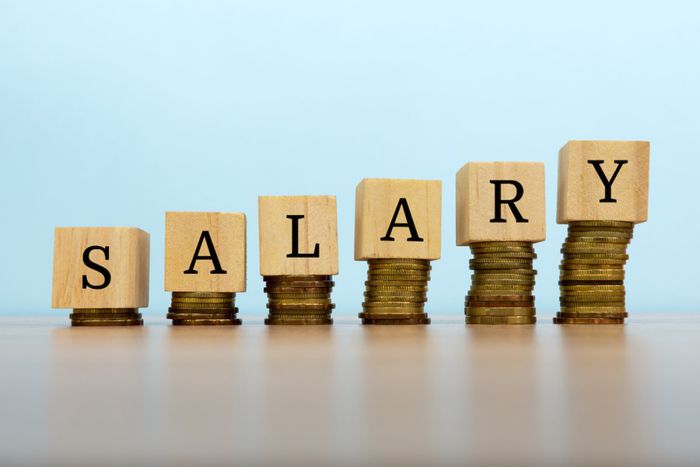 Surviving Nigeria: How to make the most out of your small salary - no extra jobs