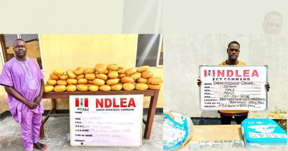 NDLEA Cracks Down: Ex-Lagos Councillor, Others Nabbed with Massive Drug Hauls Across Nigeria