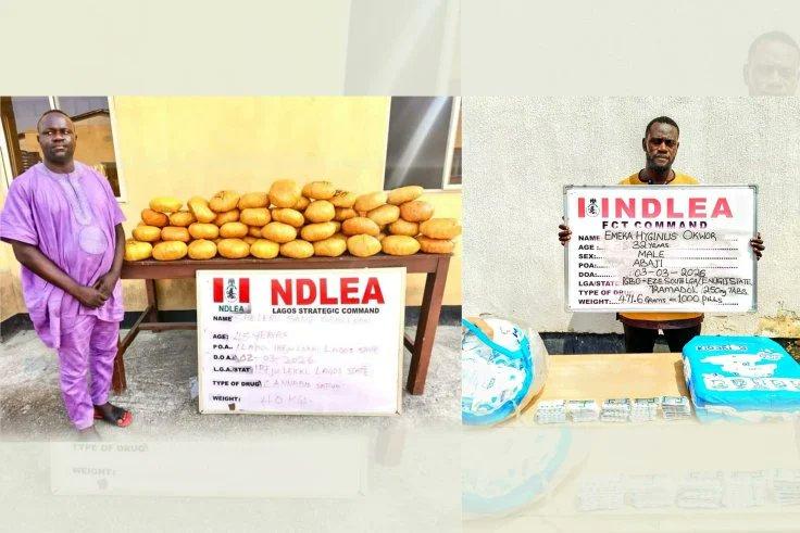 NDLEA Cracks Down: Ex-Lagos Councillor, Others Nabbed with Massive Drug Hauls Across Nigeria