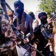 Bandits abduct those they invited for a peace meeting in zamfara forest