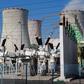 FG announced it paid ₦3.3tn power debt in April, GenCos say no money has arrived till now